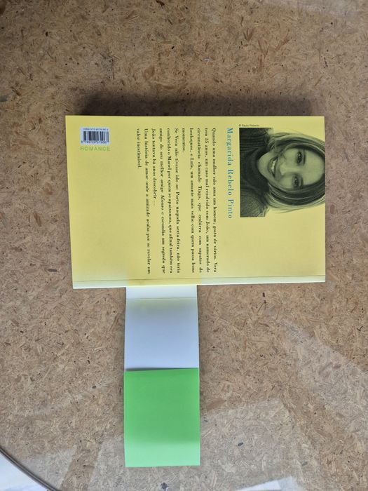 Não há coincidências - Margarida Rebelo Pinto