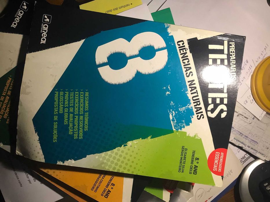 8ºano-Preparar para os testes -várias disciplinas