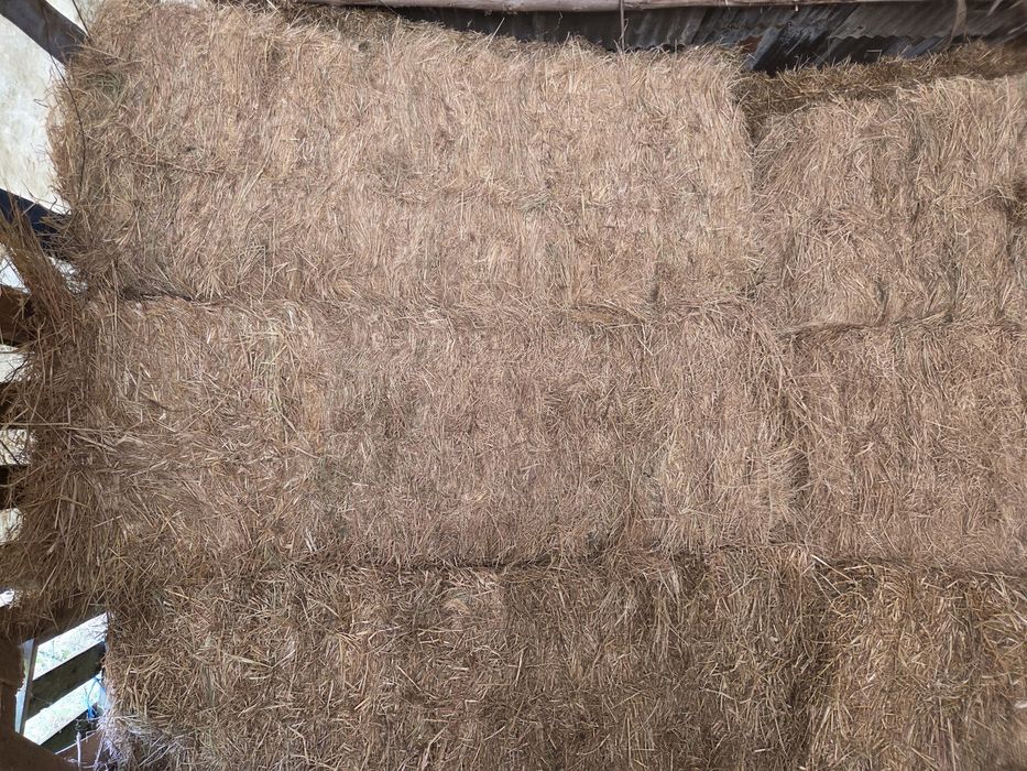 Fardos feno 80x90