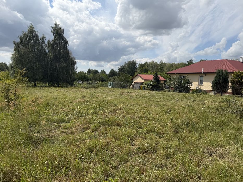 Zdjęcie 6
