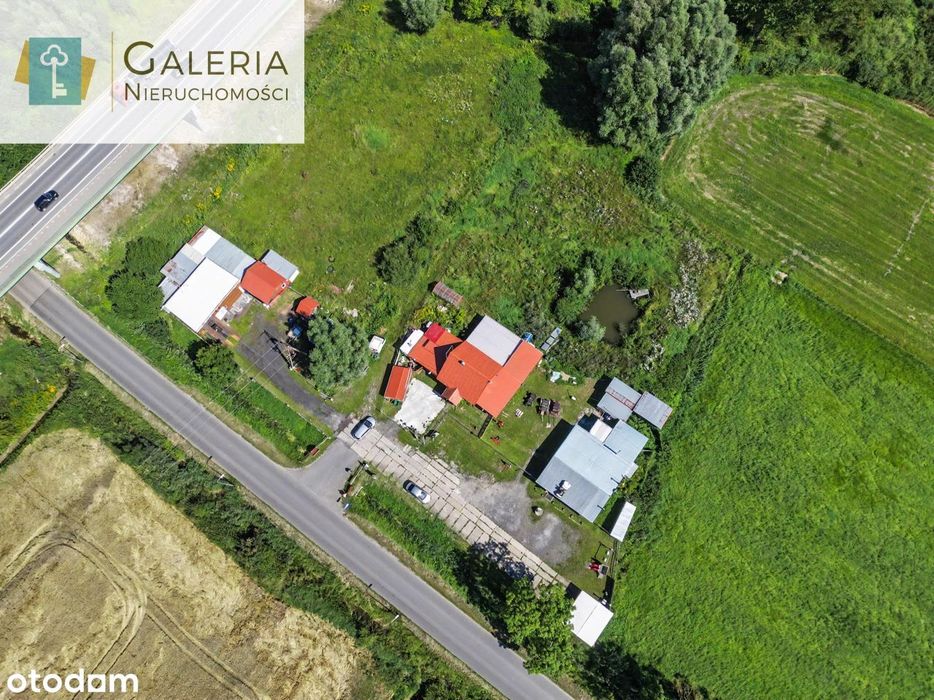 Dom + bar + warsztat | 5900 m²