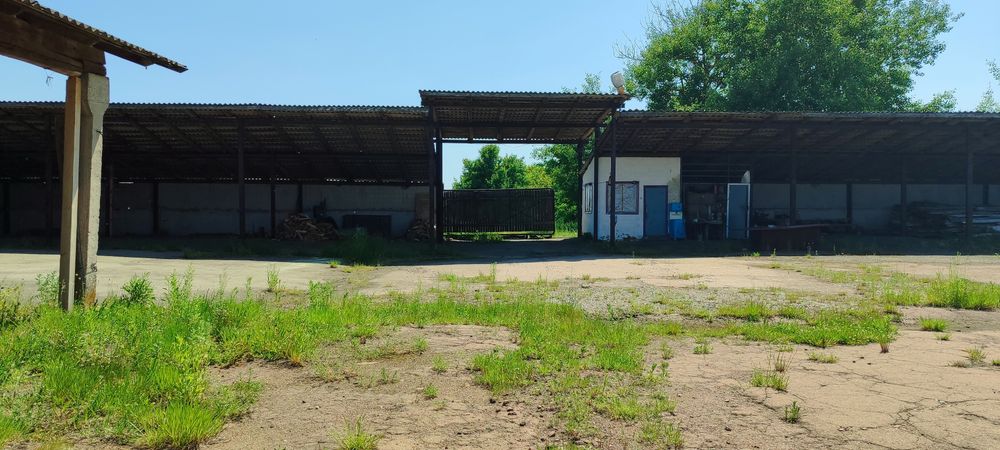 Виробниче приміщення, приміщення комори, зерносклад