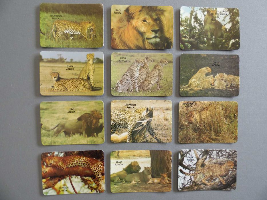 Calendários Animais Diversos