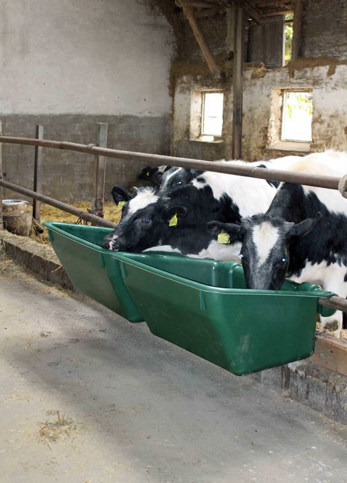 Koryto zawieszane 100 cm 180 l