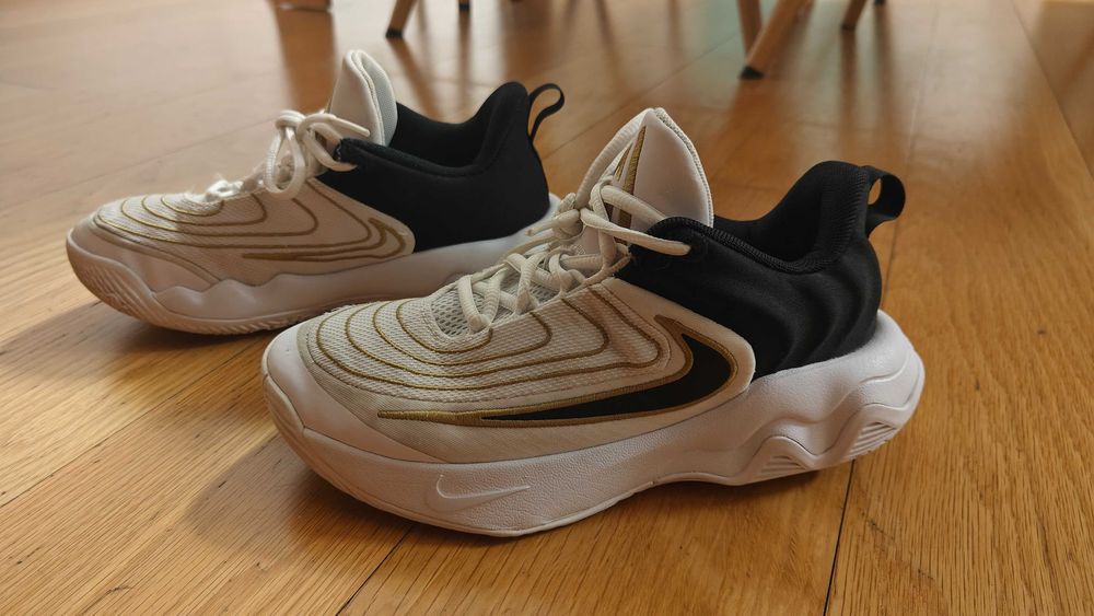 Sapatilhas basquete Nike Giannis Immortality 4