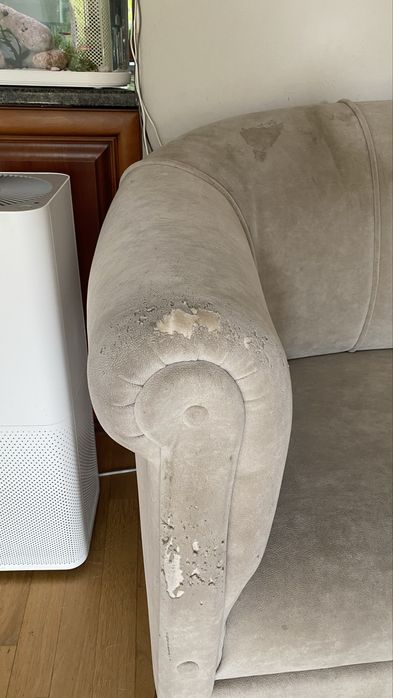 Antyczna sofa klubowa w stylu Biedermeier