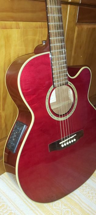 Viola acústica Takamine