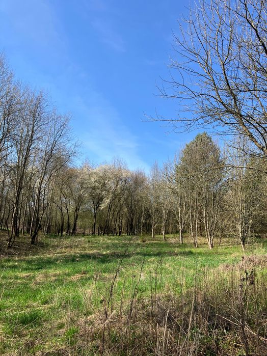 Działka na sprzedaż - Widok 3