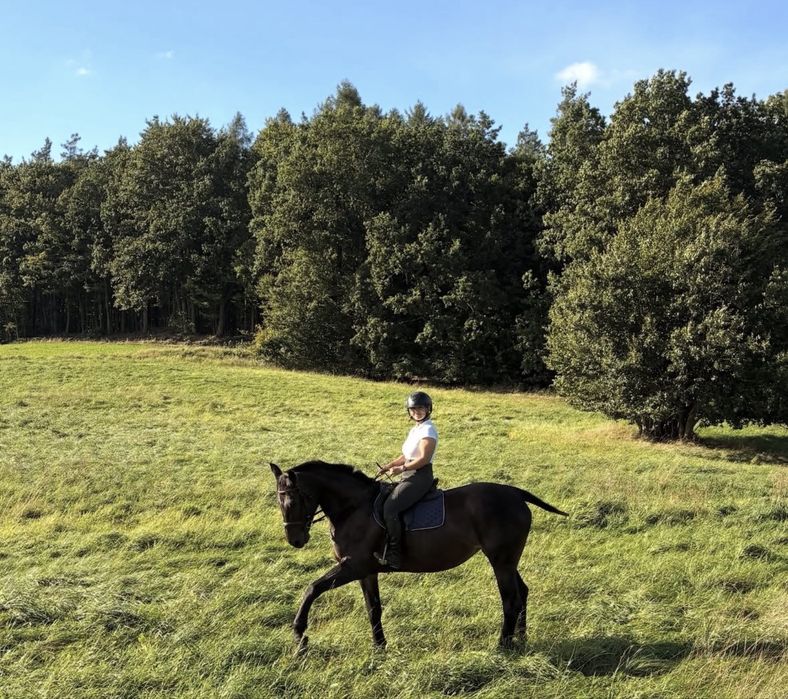 Loxy R  Cudowna Klacz