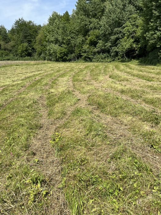 Działka w Bieszczadach.