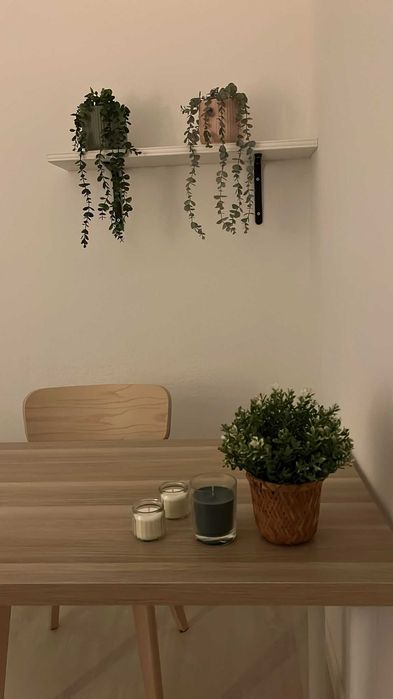 Salas para Terapias / Consultas – Hub Terapêutico