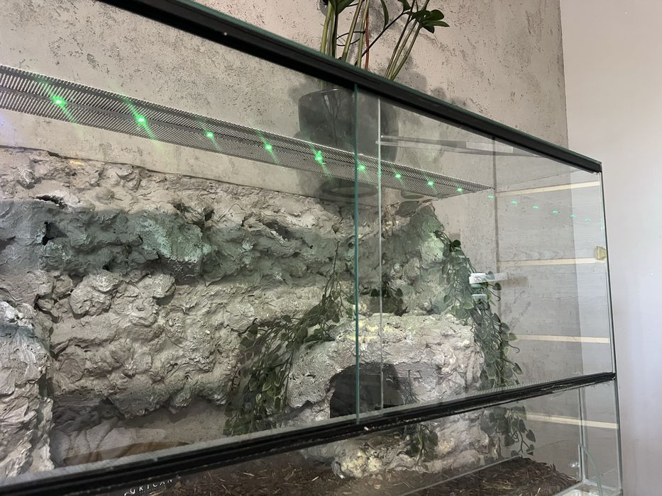 Modelka+terrarium