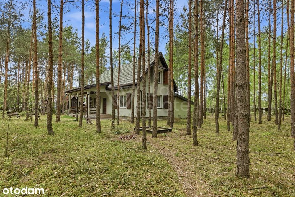 Całoroczny dom w lesie. Przestrzeń, cisza i natura