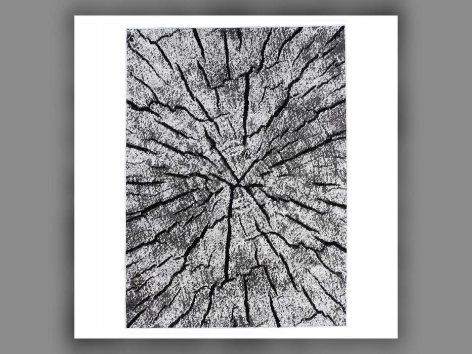 Nowy Dywan Canvas 160x220 Cm Pień Drzewa Szary Czarny BCF Nowoczesny