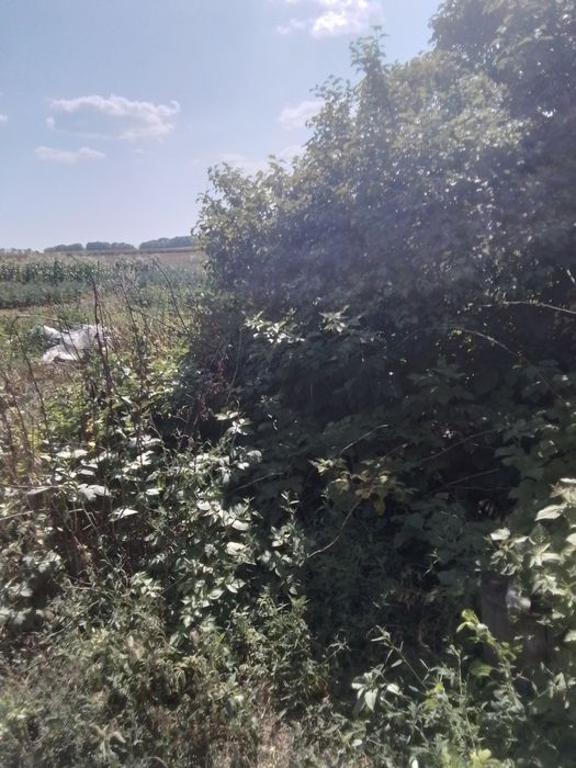 2 участка земли под строительство