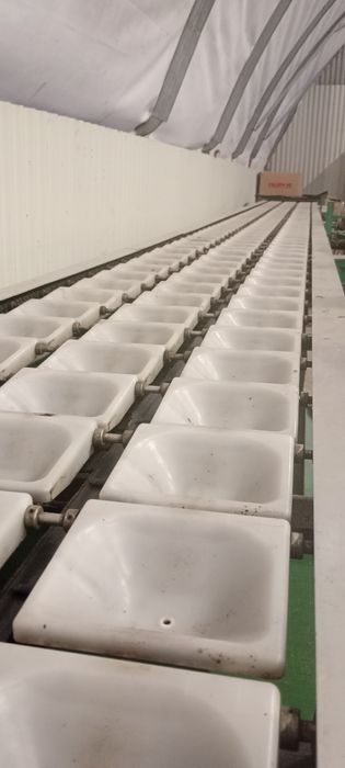 Sprzedam sortownice do jabłek 3 rzędowa