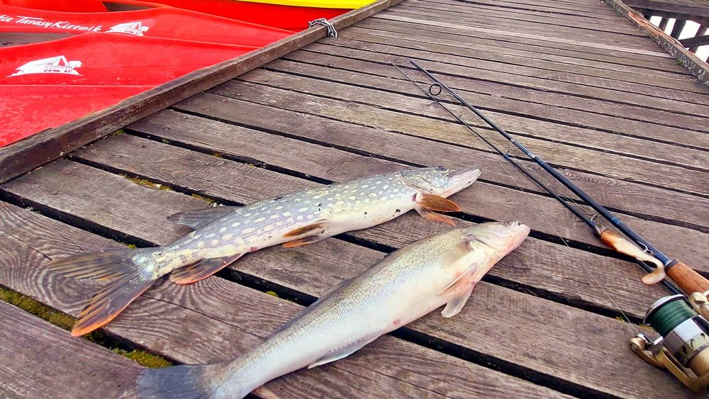 Domek JACUZZI Mazury nad jeziorem ferie wakacje weekend Majówka wolne