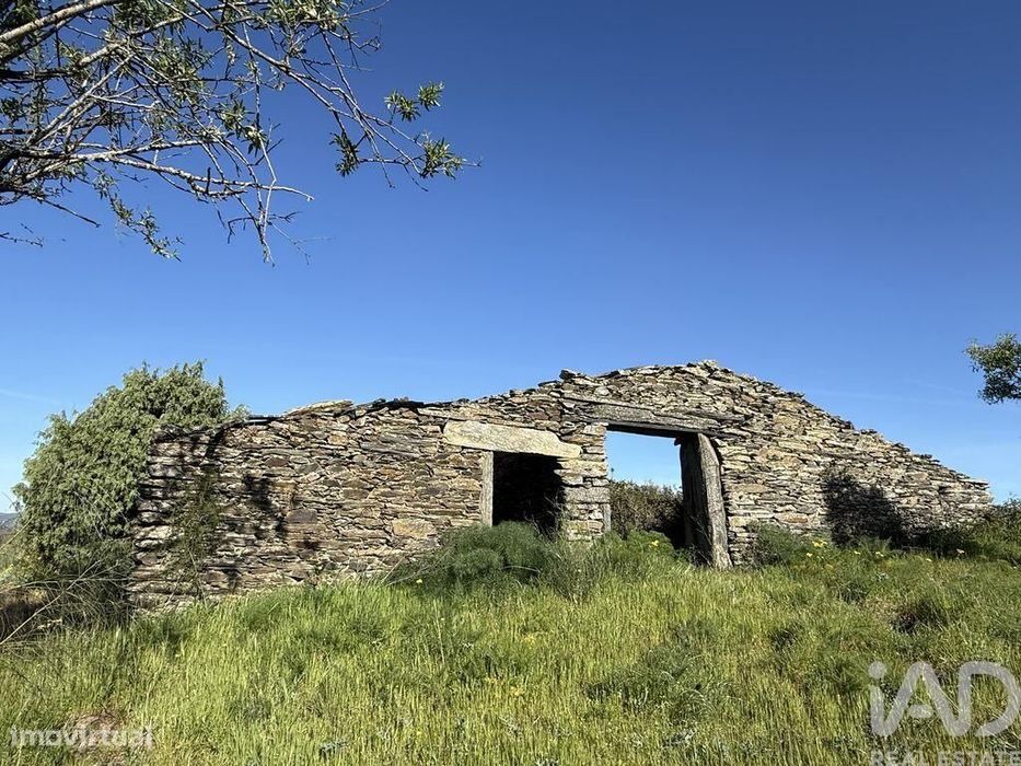 Terreno Agrícola em Guarda