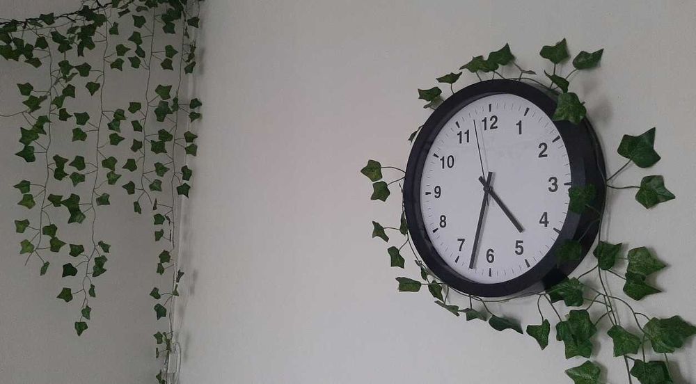 Sztuczny bluszcz dekoracja dom taras balkon ogród 50 metrów