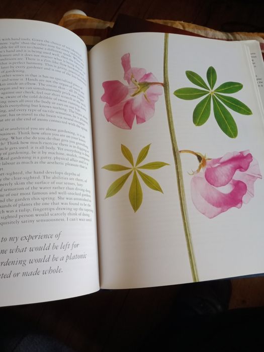 Livro Garden mad