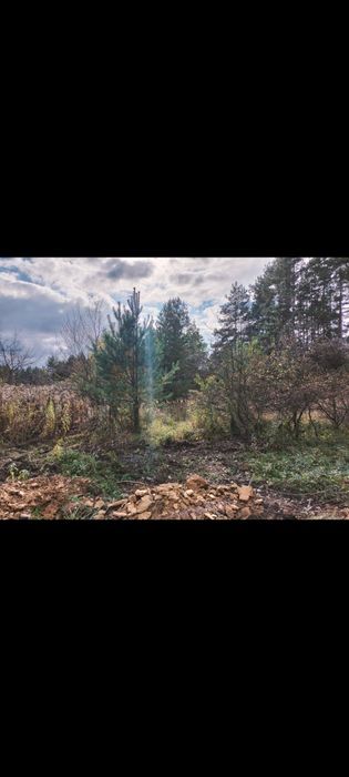 Działka budowlana 10 ar WZ - Widok 4