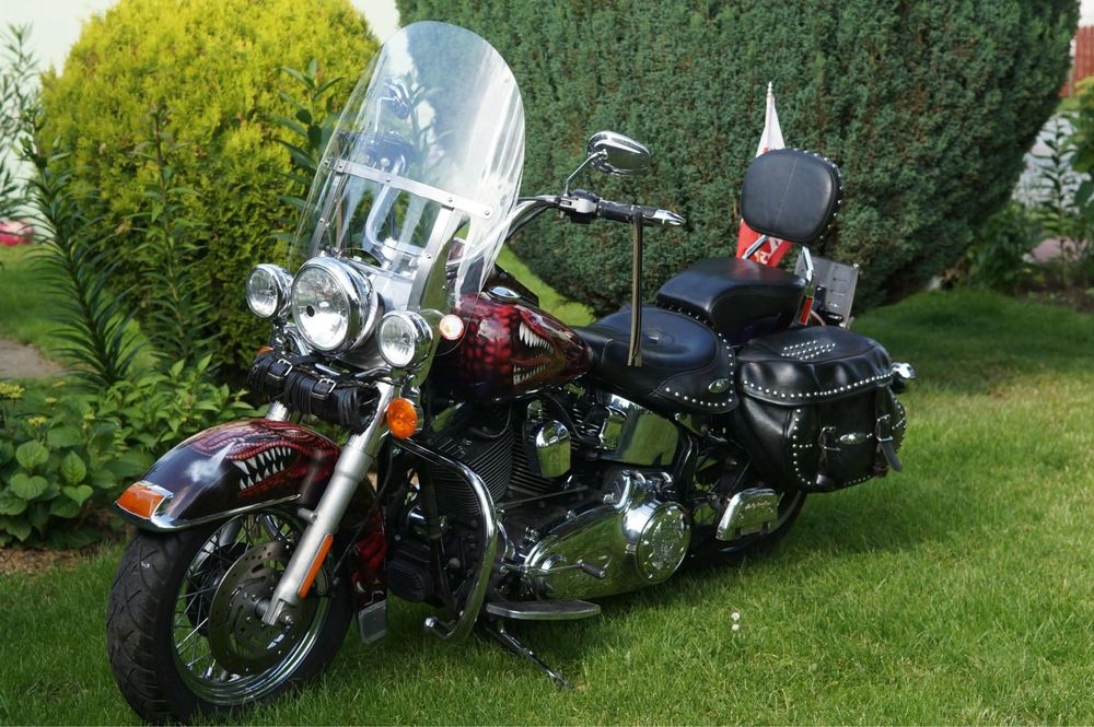 Harley Dawidson Softail