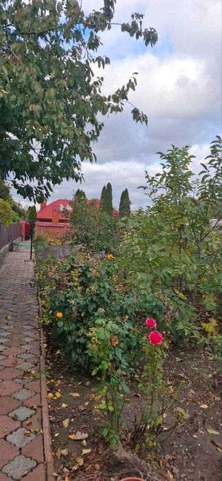 Дом по адресу ул. Бандеры Степана (площадь 130 м²) - Atlanta.ua - фото 2