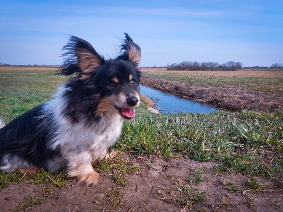 Naprawdę nikt ? PILNE