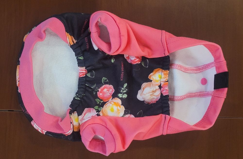 Kurteczka dla pieska