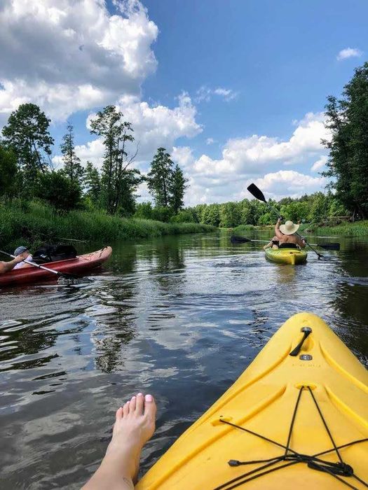 Domek Leniwiec: Jacuzzi, Kominek, Las, Rzeka. Komfort, Relaks, Spokój