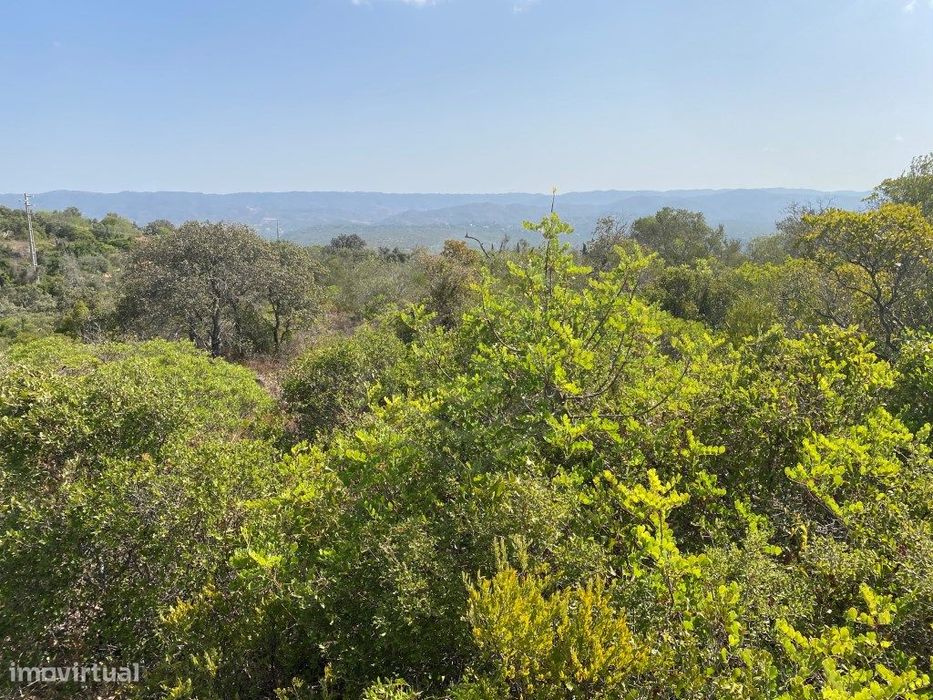 Lote de Terreno Rústico no Serro dos Passarinhos, Loulé, Algarve