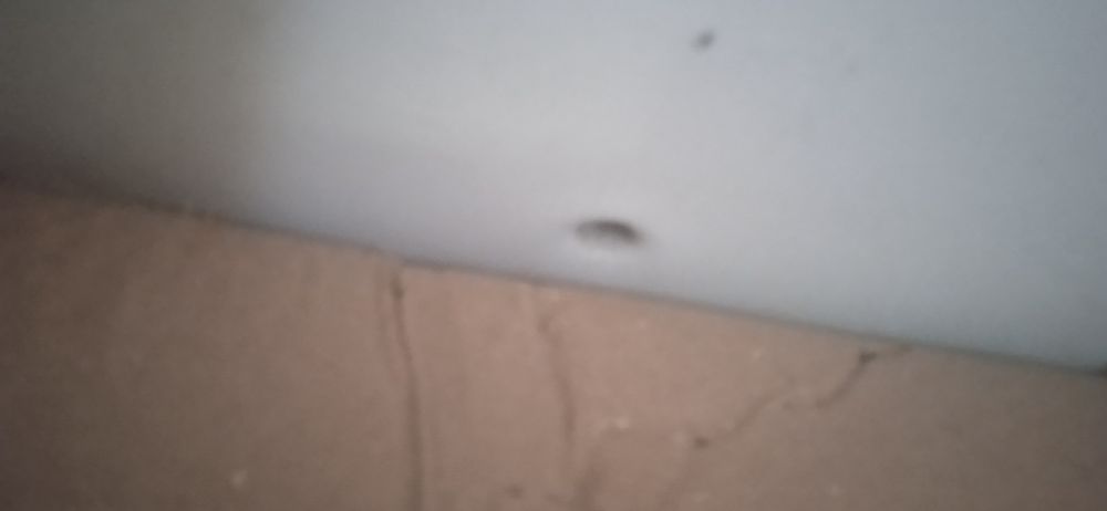 Подається унітаз