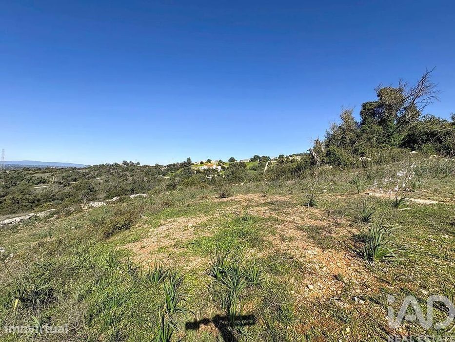 Terreno Agrícola em Algoz e Tunes