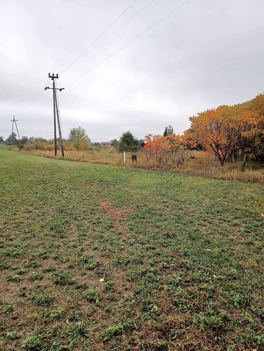 Działka budowlana 2509 m² Głusiec - Dęblin - Widok 4
