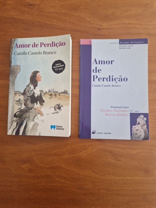 "Amor de Perdição" e romance "A Queda dum Anjo"de Camilo C. Branco.