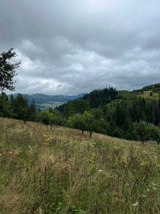 Ділянка в Карпатах, Микуличин 25сот,біля потічка, власник