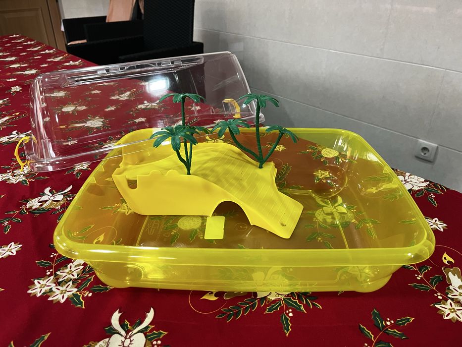 Aquário para tartaruga