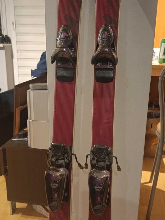 Narty Dynastar Skicross.