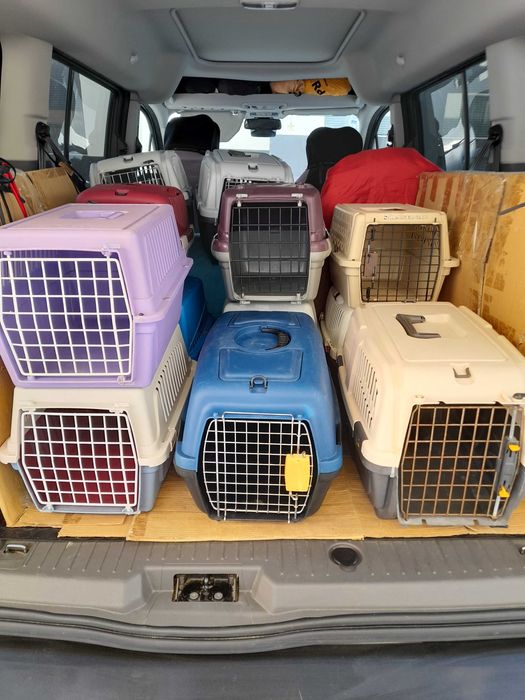 Transportadoras de gato