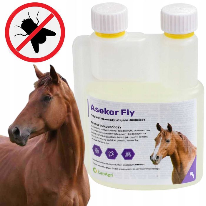 Preparat na owady latające i biegające ASEKOR FLY, bezbarwny, 1000 ml