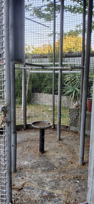 Viveiro grande exterior cilíndrico de jardim em ferro
