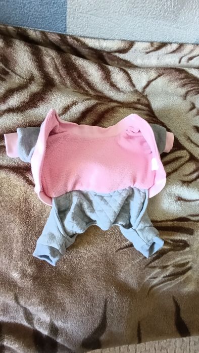 Одежка для собак