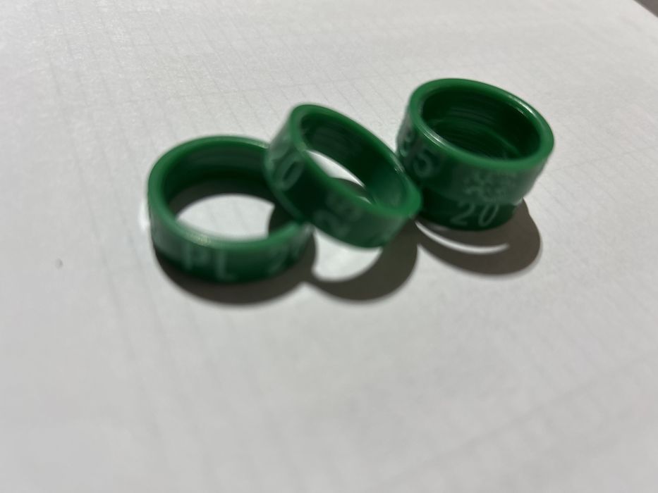 Obrączki dla drobiu