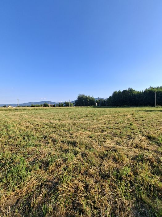 Działka w Bulowicach 19.5ar *Budowlana *Usługowa - Widok 6