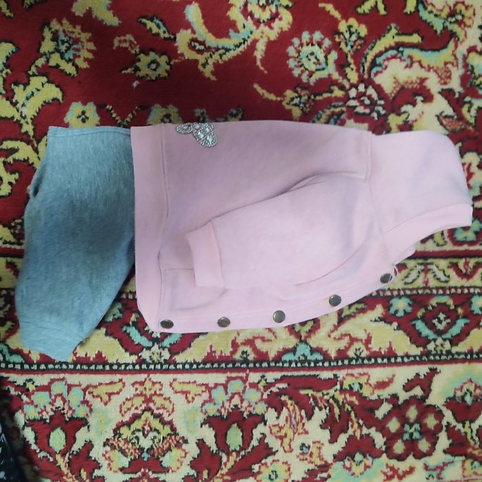 Кофточка для кошек