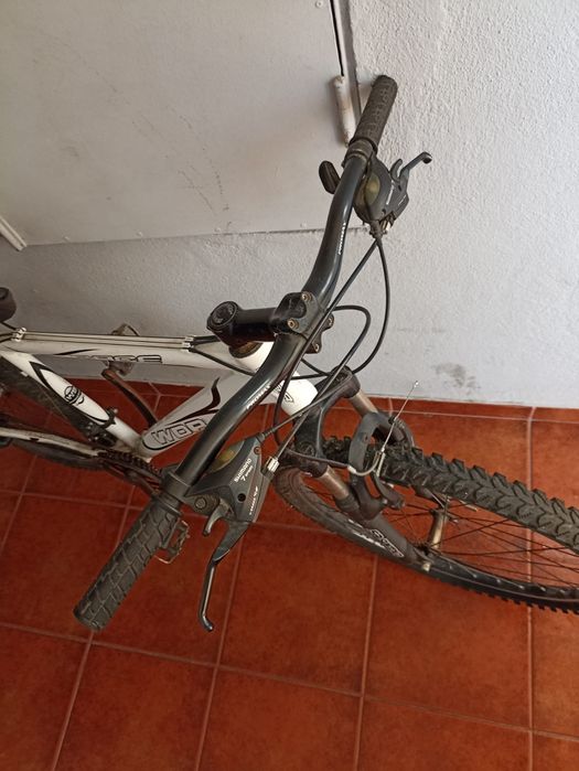Bicicleta de adulto