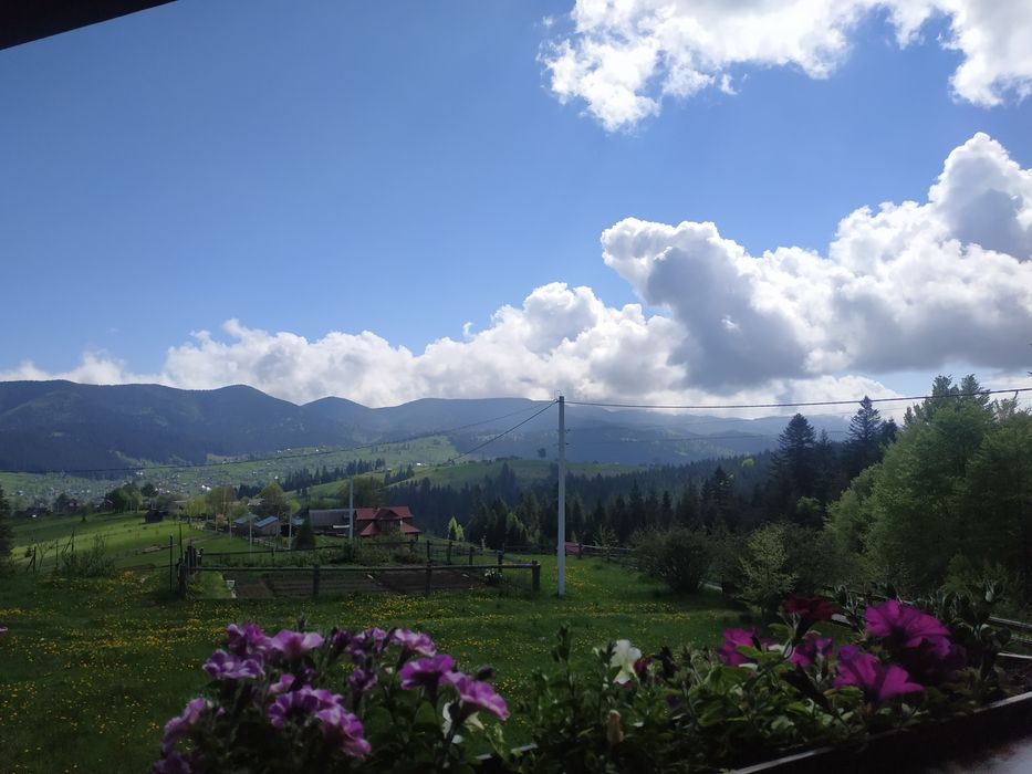 Здається приватна садиба "Гірський затишок"