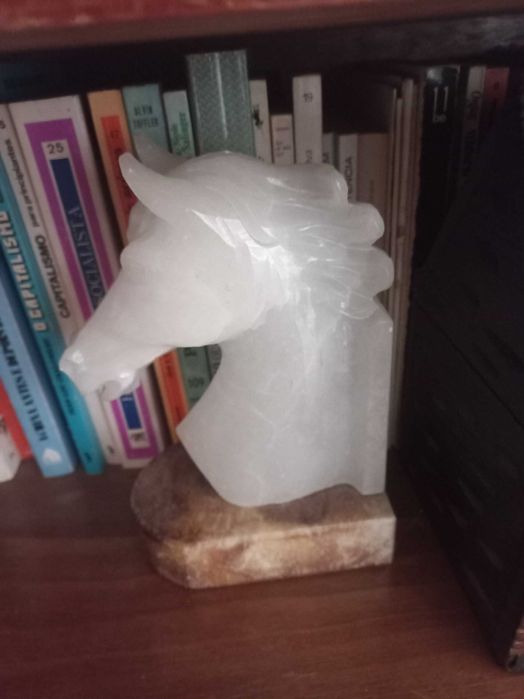 Ampara livros cabeça de cavalo