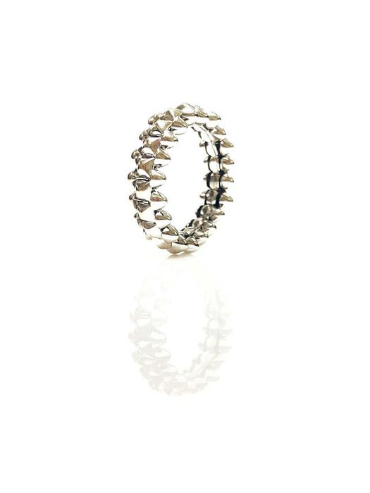 Золотое кольцо / Золотое кольцо