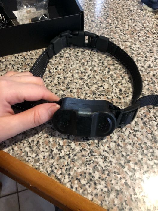 Coleira de treino para cães